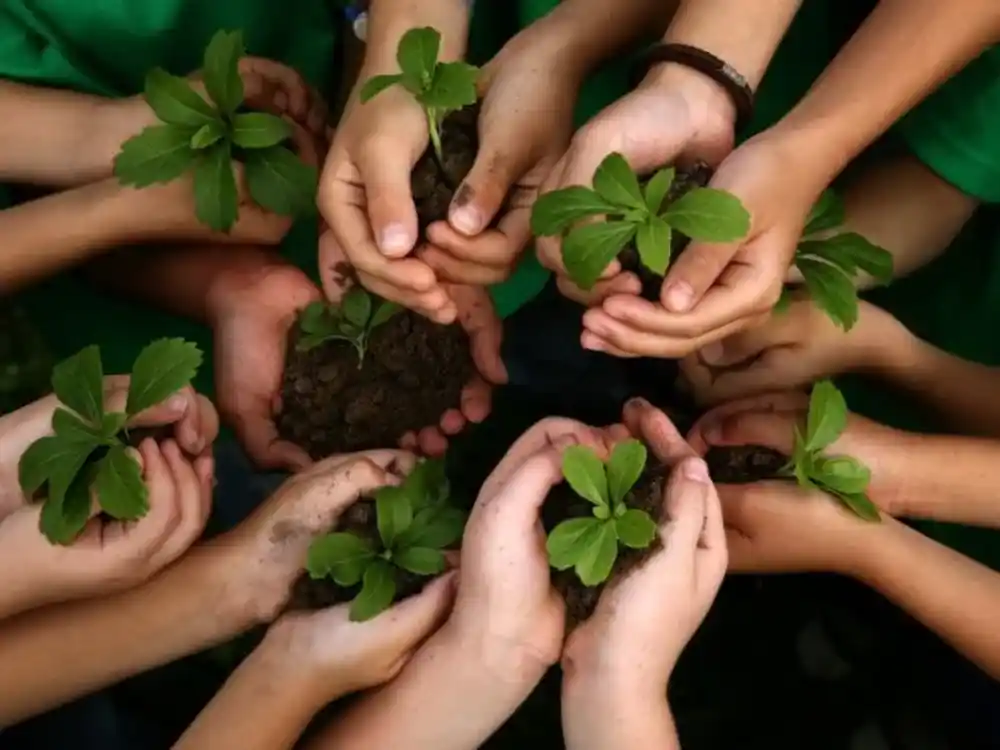 इको-फ्रेन्डली जीवनलाई अँगालेर: साना परिवर्तनहरू, ठूलो प्रभाव