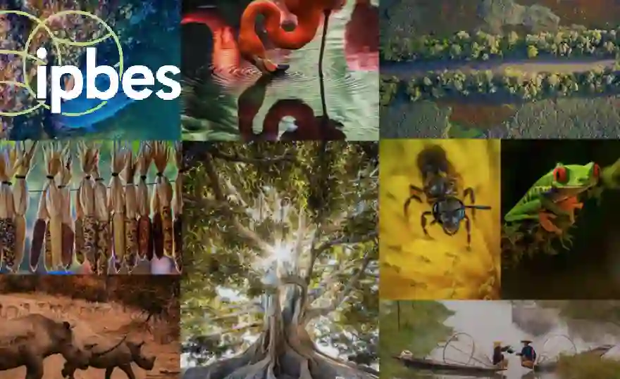 आईपीबीईएस नेक्सस मूल्याङ्कनका लागि काठमाडौंमा १३० भन्दा बढी विश्वव्यापी विशेषज्ञहरू