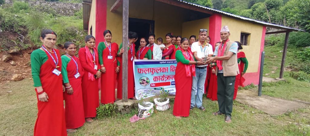 मातृभूमि लघुवित्त वित्तीय संस्थाद्वारा ५० सदस्यलाई फलफूलका बिरुवा वितरण