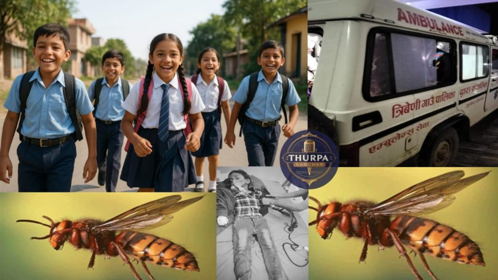 रोल्पामा अरिङ्गालको टोकाइबाट ७ विद्यार्थी घाइते, एकको मृत्यु